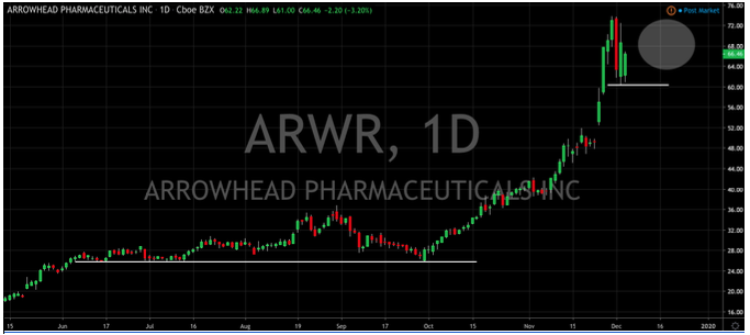 Arrowhead Shares Point North (NASDAQ: ARWR)